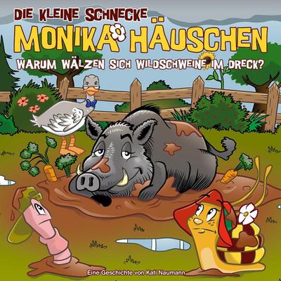 Die kleine Schnecke Monika Häuschen 66: Warum wälzen sich Wildschweine im Dreck?