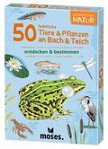 50 heimische Tiere & Pflanzen an Bach & Te
