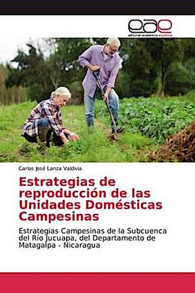 Estrategias de reproducción de las Unidades Domésticas Campesinas