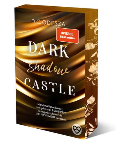 DARK shadow CASTLE 03