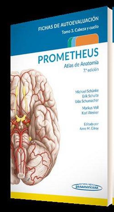 PROMETHEUS. Atlas de Anatomía.Fichas de autoevaluación: Cabeza y Cuello