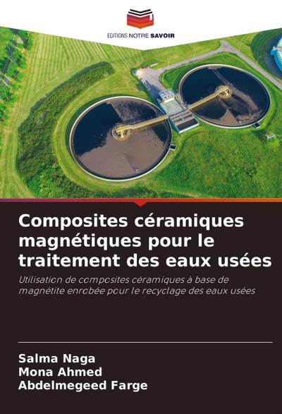 Composites céramiques magnétiques pour le traitement des eaux usées