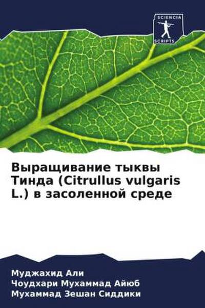 Vyraschiwanie tykwy Tinda (Citrullus vulgaris L.) w zasolennoj srede