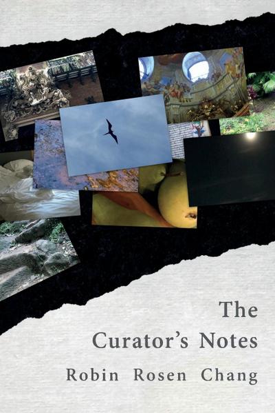 The Curator’s Notes