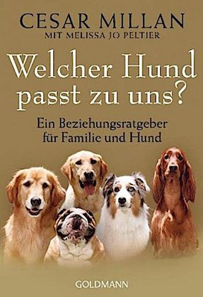 Welcher Hund passt zu uns?