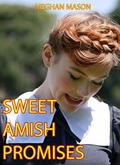 Sweet Amish Promises