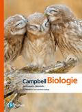 Campbell Biologie Gymnasiale Oberstufe