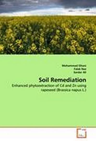 Soil Remediation