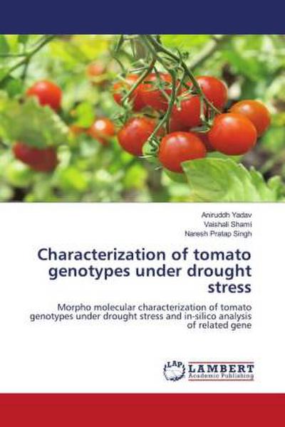 Characterization of tomato genotypes under drought stress