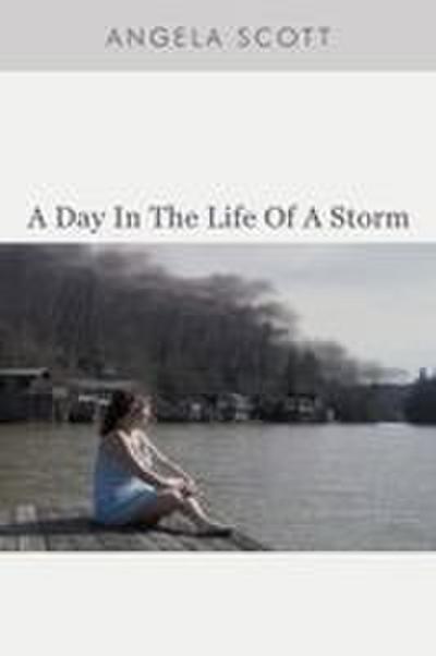 A Day in the Life of a Storm