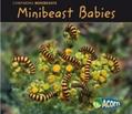 Minibeast Babies
