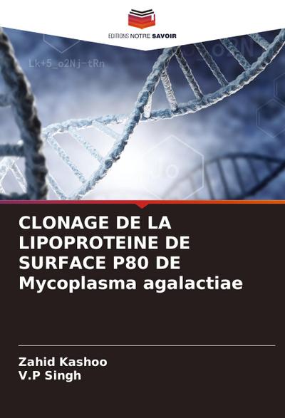 CLONAGE DE LA LIPOPROTEINE DE SURFACE P80 DE Mycoplasma agalactiae