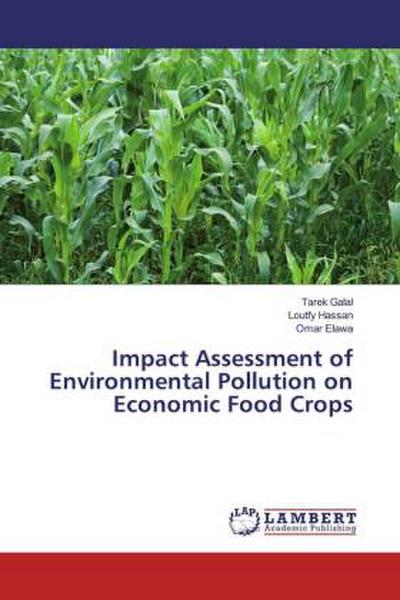 Impact Assessment of Environmental Pollution on Economic Food Crops