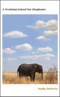 A Training School for Elephants