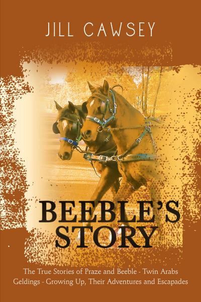 Beeble’s Story