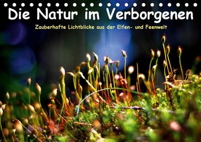 Voss, E: Natur im Verborgenen (Tischkalender 2021 DIN A5 que