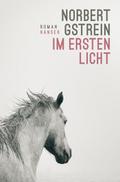Im ersten Licht von Norbert Gstrein