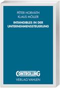 Intangibles in der Unternehmenssteuerung