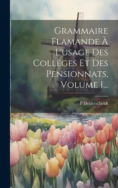 Grammaire Flamande À L’usage Des Collèges Et Des Pensionnats, Volume 1...