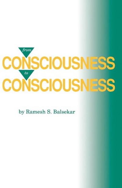 From Consciousness to Consciousness