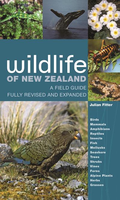 Wildlife of New Zealand