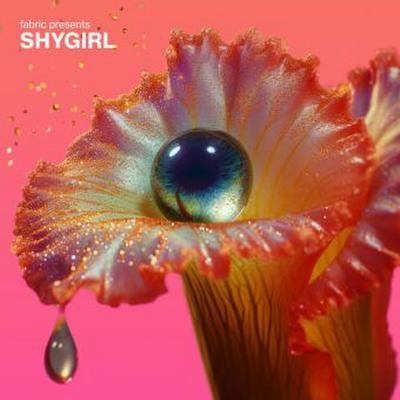 Fabric Presents: Shygirl, 1 Audio-CD