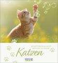 Geburtstagskalender Katzen
