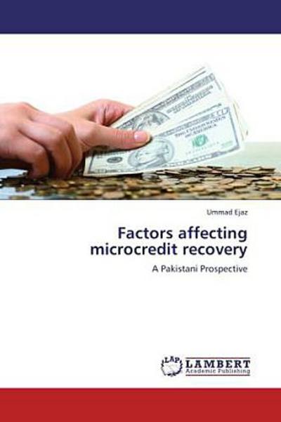 Factors affecting microcredit recovery