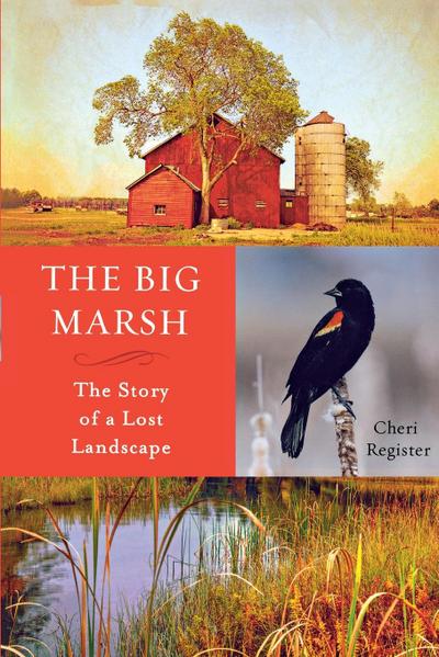 The Big Marsh (eBook, EPUB) - Cheri Register
