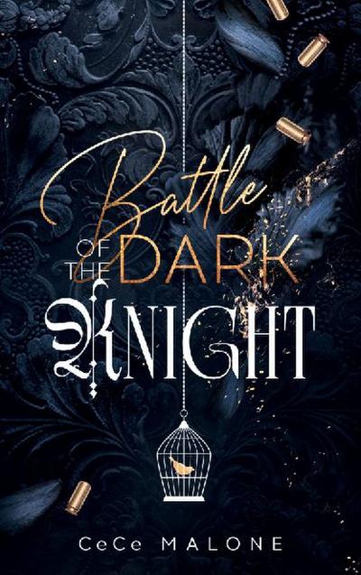 Battle of the dark Knight