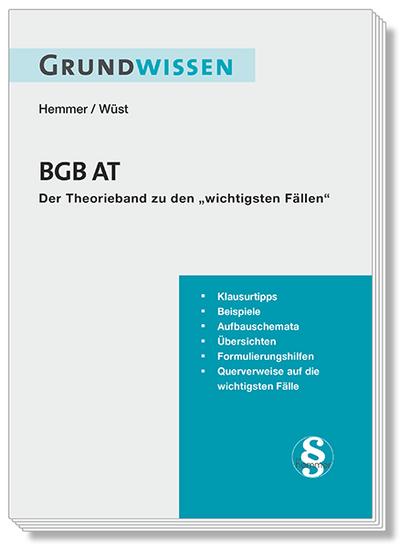 Grundwissen BGB AT: Klausurtipps - Beispiele - Aufbauschemata - Übersichten - Formulierungshilfen - Querverweise auf die wichtigsten Fälle: Der Theorieband zu den wichtigsten Fällen