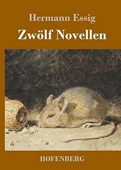 Zwölf Novellen