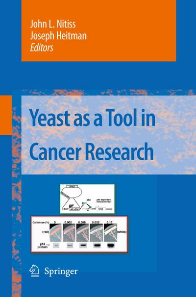 Yeast as a Tool in Cancer Research