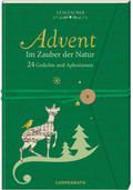 Briefbuch - Advent im Zauber der Natur