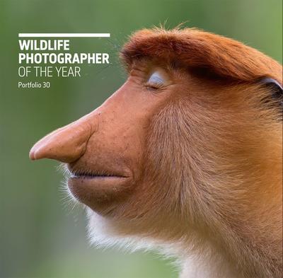 Wildlife Photographer of the Year: Portfolio 30