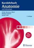 Kurzlehrbuch Anatomie von Ulrike Bommas-Ebert | Ebook