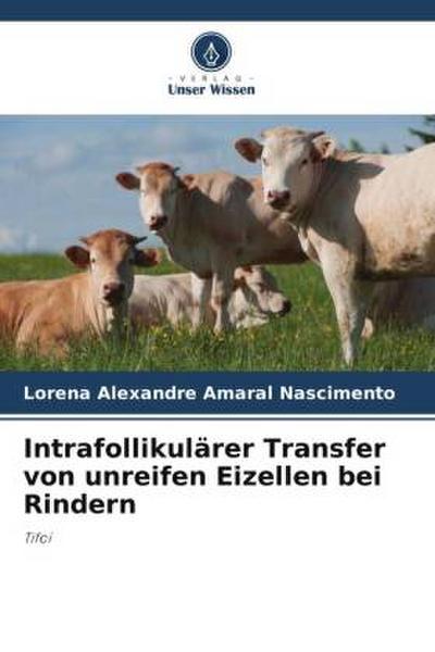 Intrafollikulärer Transfer von unreifen Eizellen bei Rindern