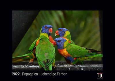 Papageien - Lebendige Farben 2022 - Black Edition - Timokrates Kalender, Wandkalender, Bildkalender - DIN A3 (42 x 30 cm)