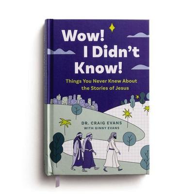 Wow! I Didn’t Know! Things You Never Knew about the Stories of Jesus