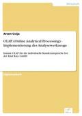 OLAP (Online Analytical Processing) - Implementierung des Analysewerkzeugs - Arsen Cvija