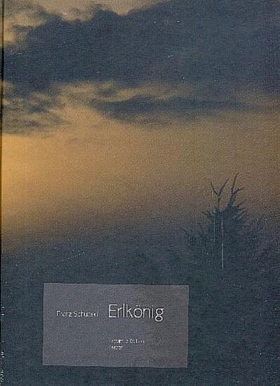 Erlkönig D 328