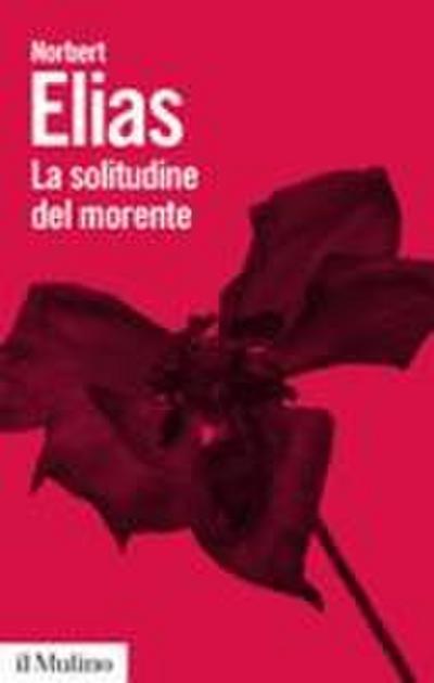 La solitudine del morente