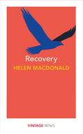 Recovery