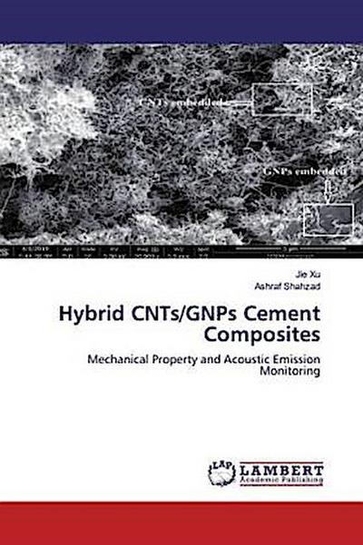 Hybrid CNTs/GNPs Cement Composites