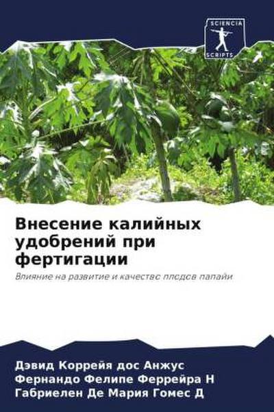 Vnesenie kalijnyh udobrenij pri fertigacii