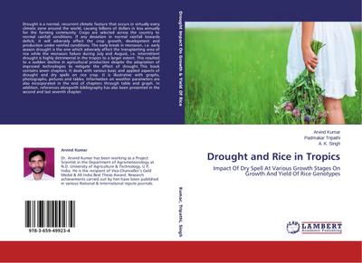 Drought and Rice in Tropics