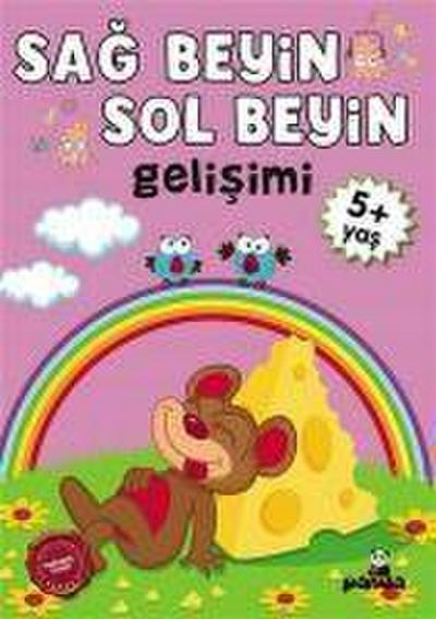 5 Yas Sag Beyin-Sol Beyin Gelisimi