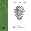 Kitkitdizzi