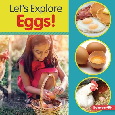 Let’s Explore Eggs!