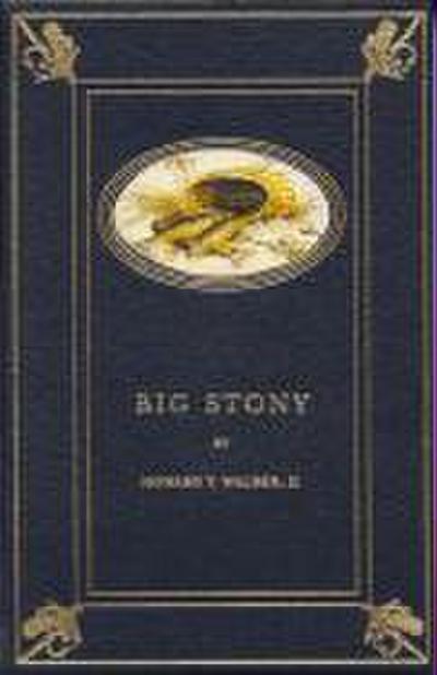 Big Stony